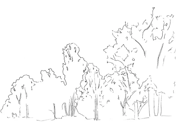 Bosquejo de árboles y arbustos. Dibujo lineal del paisaje. Ilustración hecha a mano. Bosque sobre fondo blanco. Diseño de estilo Black Line. Naturaleza salvaje . — Foto de Stock