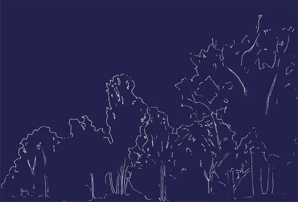 树木和灌木素描 景观线形图 手绘插图 白色背景的森林 黑线风格设计 狂放的自然 — 图库矢量图片