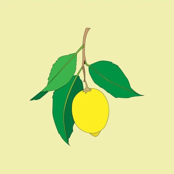 Frutto al limone con foglie isolate su fondo giallo. Agrumi freschi. Illustrazione piatta vettoriale . — Vettoriale Stock