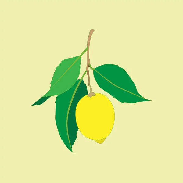 Lemon fruit with leaves isolated on yellow background. Fresh citrus. Vector flat illustration. — Stock Vector