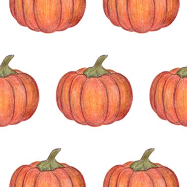 Beyaz arka planda turuncu balkabakları var. Kusursuz desen. Cadılar Bayramı ya da Şükran Günü dekorasyonu. El çizimi çizimi. Hasat mevsimi. Tekstil, paket ve baskı için. Taze sonbahar sebzeleri.