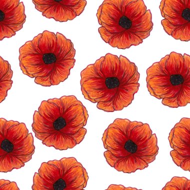 Beyaz arka planda izole edilmiş güzel kırmızı gelincikler. Parlak Çiçeksiz Desen. Yaz arkaplanı. Tekstil, duvar kağıdı, baskı, web tasarımı, kumaş, ambalaj kağıdı için kullanılabilir. El çizimi illüstrasyon