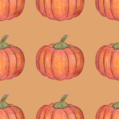 Turuncu balkabakları kusursuz desen. Cadılar Bayramı ya da Şükran Günü dekorasyonu. El çizimi çizimi. Hasat mevsimi. Tekstil, paket ve baskı için. Taze sonbahar sebzeleri.