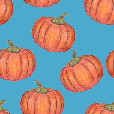 Turuncu balkabakları kusursuz desen. Cadılar Bayramı ya da Şükran Günü dekorasyonu. El çizimi çizimi. Hasat mevsimi. Tekstil, paket ve baskı için. Taze sonbahar sebzeleri.