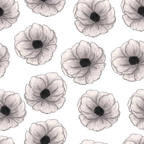 Hermosas amapolas aisladas sobre fondo blanco. Patrón sin costura floral. Fondo de verano.Se puede utilizar para textiles, papel pintado, impresión, diseño web, tela, papel de envoltura. Colores grises — Foto de Stock