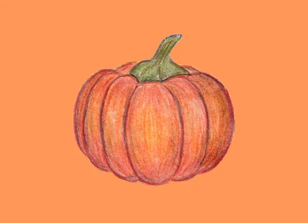 Orange Pumpkin Illustration Autumn Graphic Icon Halloween Thanksgiving Print Colored — Stock Photo, Image