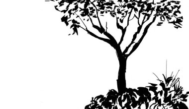 Beyaz arkaplanda siyah ağaç silueti var. Sumi-e, u-sin, gohua resim stili. Şekillendirilmiş mürekkep çizimi. El çizimi illüstrasyon. 