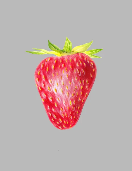 Strawberry Terisolasi Pada Latar Belakang Abu Abu Red Berry Closeup — Stok Foto