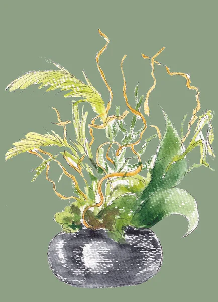 緑色の背景に孤立した花序 生け花 黒丸鍋で枝や葉と創造的な組成物 水彩手描きイラスト — ストック写真