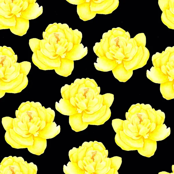 Pivoňka na černém pozadí. Bezproblémový vzorec. Akvarel malba Krásné květiny. Květinová ilustrace. Romantické žluté růže — Stock fotografie