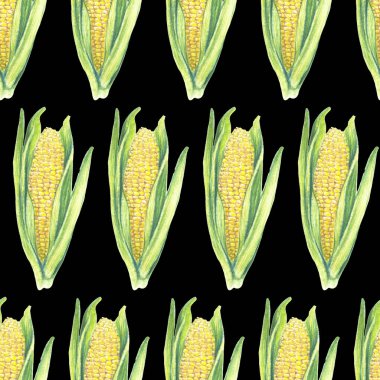 Siyah arka planda yaprakları olan kusursuz mısır koçanı deseni. Eko sebzeler. Fshop tasarımı, sağlıklı yaşam tarzı, ambalaj, tekstil. El çizimi suluboya çizimi. Botanik gerçekçi sanat