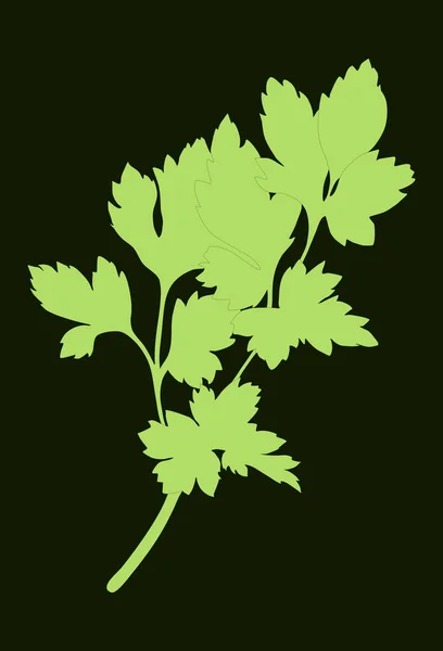 Η σιλουέτα του Πράσινου Μαϊντανού απομονώνεται σε σκούρο φόντο. Εικονογράφηση διανύσματος. Νωπά τρόφιμα — Διανυσματικό Αρχείο