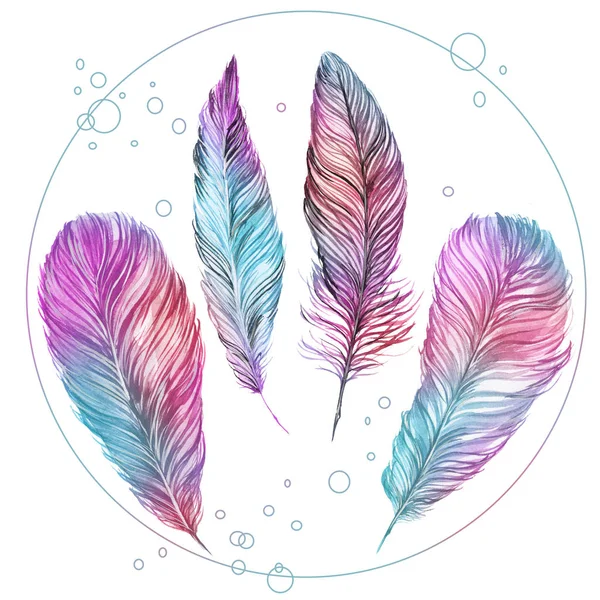 Set of feathers isolated on white background, hand-painted water — Stock Photo, Image
