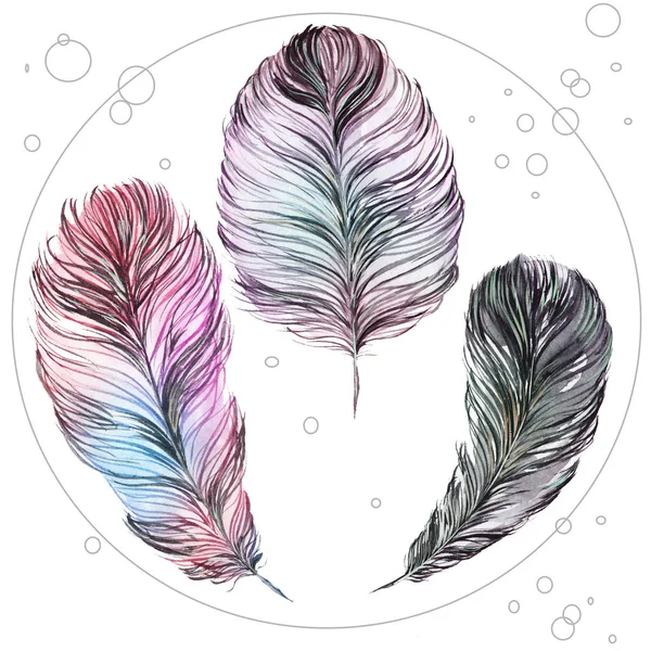 Set of feathers isolated on white background, hand-painted water — Stock Photo, Image