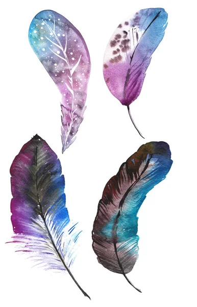 Blue watercolor feathers — Stock Photo, Image