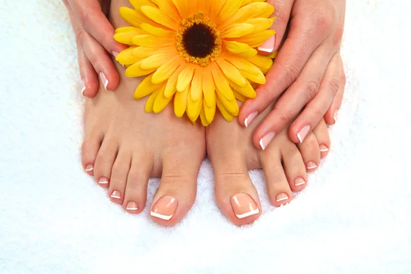 Gros plan photo d'une belle femelle pieds avec pédicure — Photo