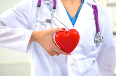 Genç kadın doktor ofisinde kırmızı bir kalp tutan