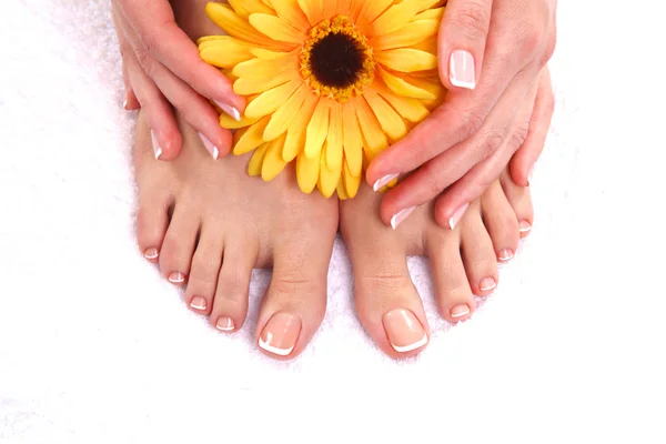 Pedicure em pernas e belas mãos de manicure closeup — Fotografia de Stock