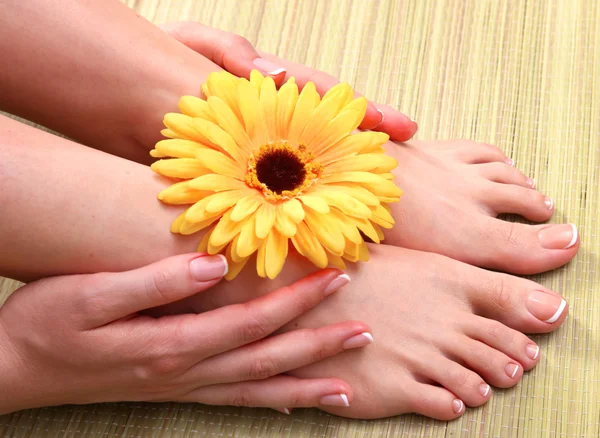 Closeup photo of a beautiful female feet with red pedicure — Stock Photo, Image