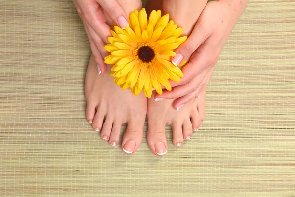 Close-up foto van een mooie vrouwelijke voeten met rode pedicure geïsoleerd op wit — Stockfoto