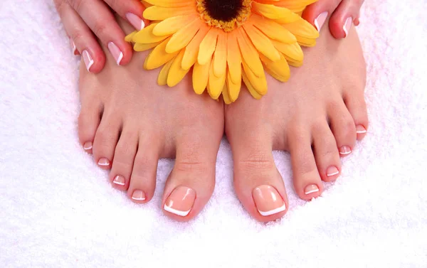 Closeup photo of a beautiful female feet with red pedicure isolated on white — Stock Photo, Image