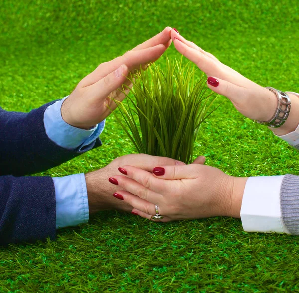 Two pairs of hands gently holding a young plant