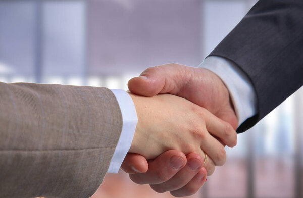 Business handshake. Two businessman shaking hands with each othe