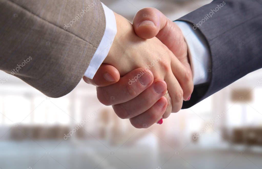 Business handshake. Two businessman shaking hands with each othe