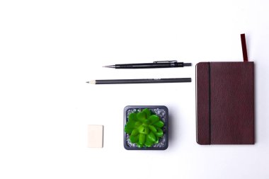 günlüğü, kalemler ve kaktüs masaüstü