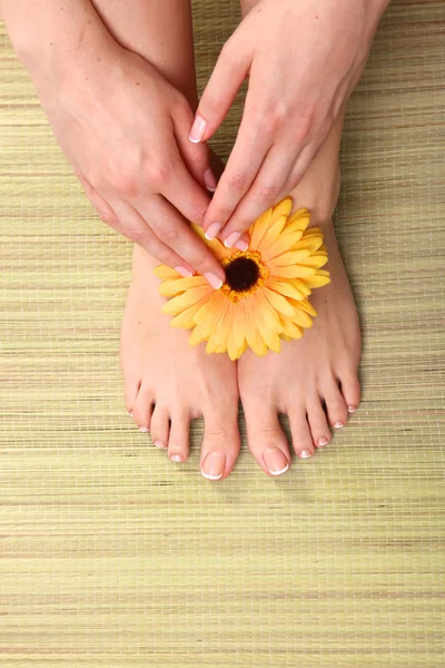 Крупним планом фото красивих жіночих ніг з педикюром — стокове фото