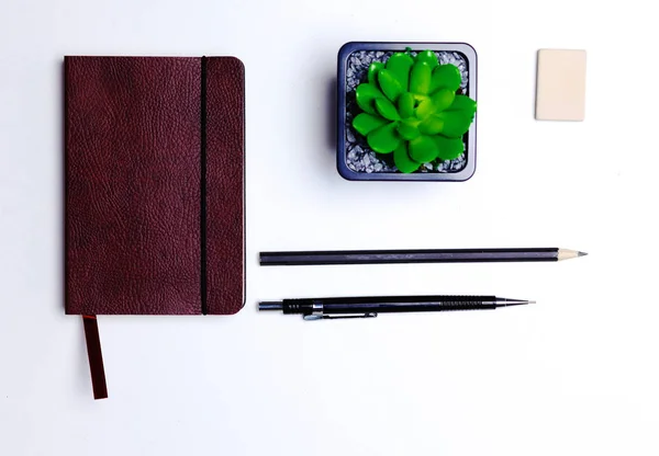 Diário, lápis e cacto na área de trabalho — Fotografia de Stock