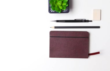 Kurşun kalem, defter ve kaktüs masaüstünde yalan