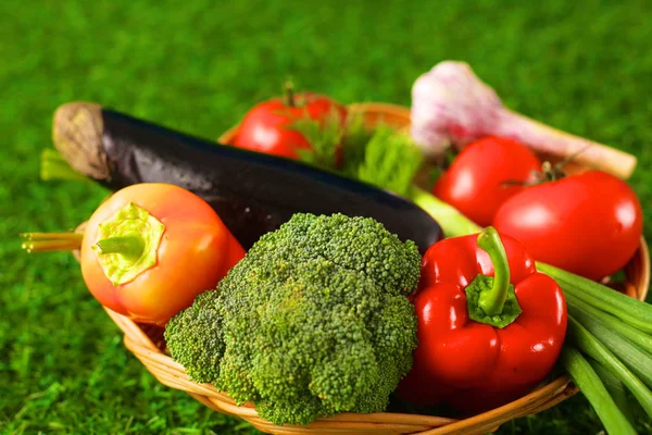 Świeże warzywa w płycie na trawie. Zdrowe jedzenie. Diety — Zdjęcie stockowe