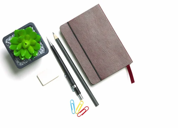 Diary, pencils and cactus on the desktop — Stock Photo, Image