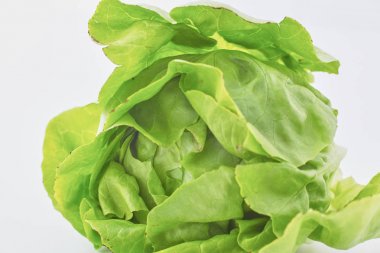 bir tabloda, seçici odak bir tabak içinde taze sebze salatası