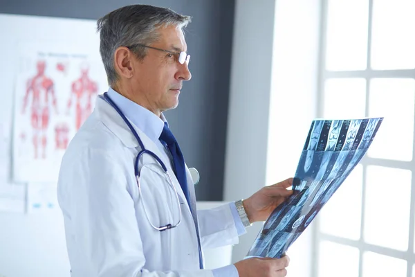 Läkare på kontoret undersöker patienter röntgen — Stockfoto