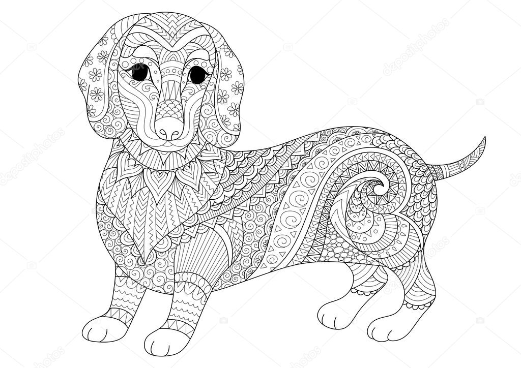 Zendoodle design of dachshund puppy for adult coloring book and T shirt design. Stock vector