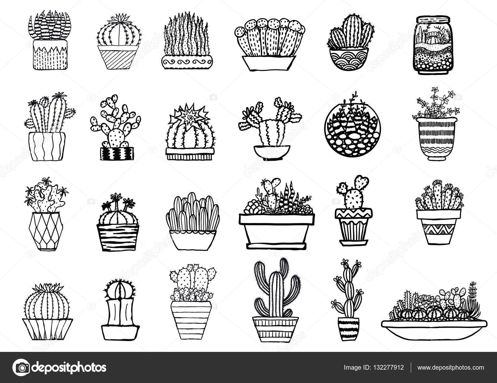 Hand Drawn Cactus Design Vector Download