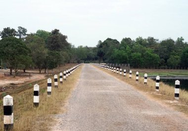 Karayolu ile orman ve alan