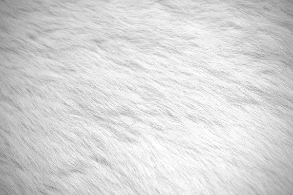 White fluffy fur Stock Photos, Royalty Free White fluffy fur