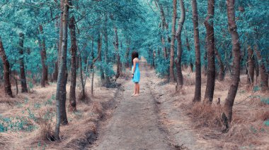 Mavi elbiseli kız sihirli ormanda kalmak.