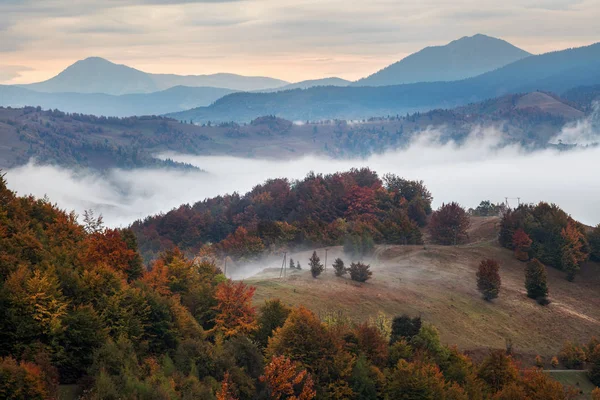 युक्रेनमधील कार्पाथियन पर्वतरांगांचे शरद ऋतूचे दृश्य. झाडे धुके ओलांडतात स्टॉक फोटो