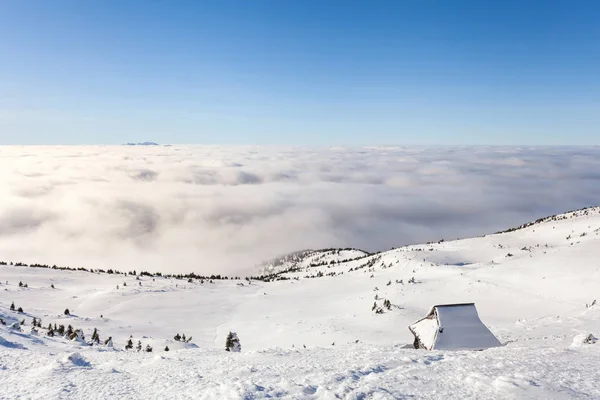 Paisaje invernal de las Montañas Cárpatas en Ucrania. La parte superior es la niebla apretada y oscurecido por las nubes — Foto de Stock