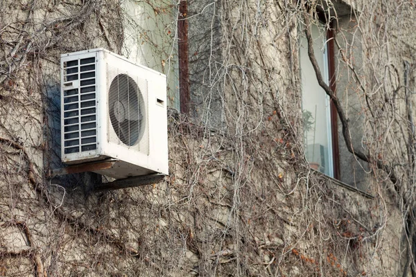 Old air condition unit on the wall with Dried ivy plant.
