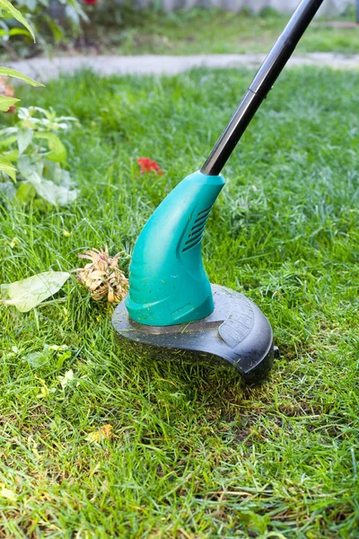 Çalışan bir çim biçme makinesi mows. Yeşil çim biçme makinesi yakın çekim.