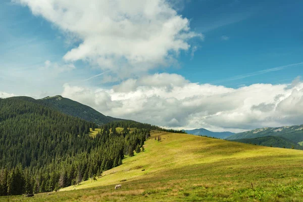 Paisaje de verano en las montañas de los Cárpatos y el cielo azul con nubes — Foto de Stock