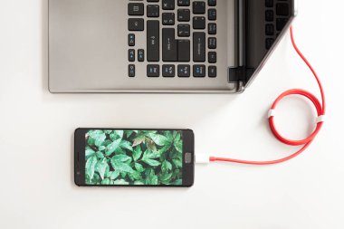Dizüstü bilgisayar ve smartphone beyaz masa üzerinde şarj çalışma alanı. Smartphone yeşil bitkiler ekranlı dizüstü bilgisayara bağlanma.