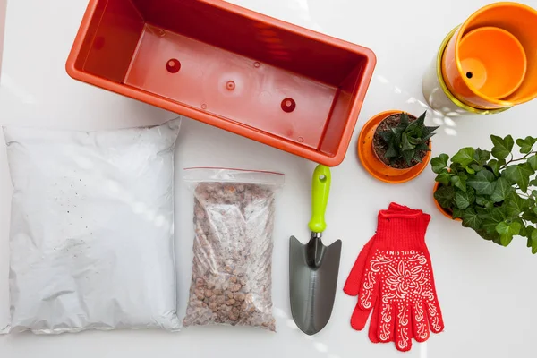 Preparation of seeds and room for planting in the soil. Plastic container, gloves, drainage, fertilizer, earth, seeds, plants, flower pot on white table.