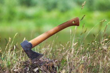 Baltayı ağacında. Turist kamp. Ayrıntılar ormanda odun keserken