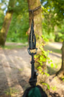 Hamak askıları ağaç closeup